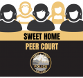 Peer Court Logo