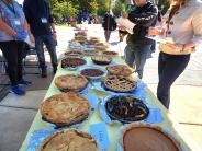 pie judge 2