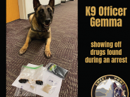 Confiscated drugs