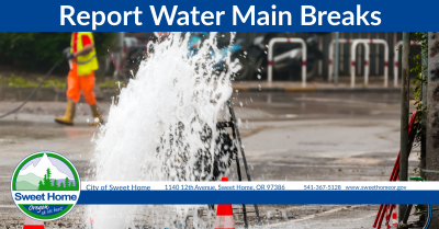 Report Water Main Breaks