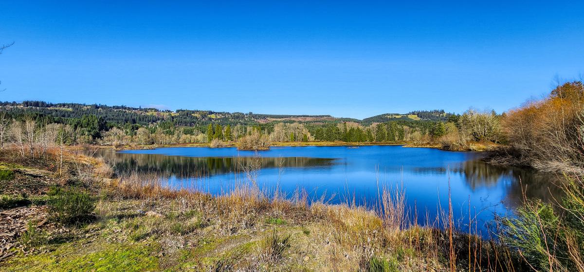 Looking over the water of Quarry Lake Park