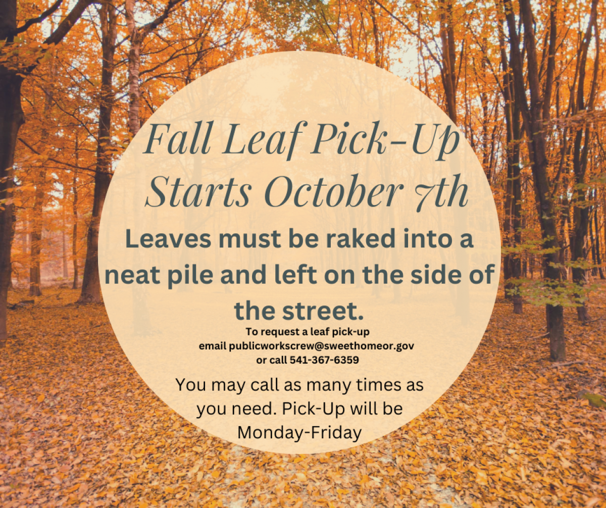 Sweet Home Fall Leaf Pickup